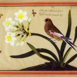 Flower & Nightingale