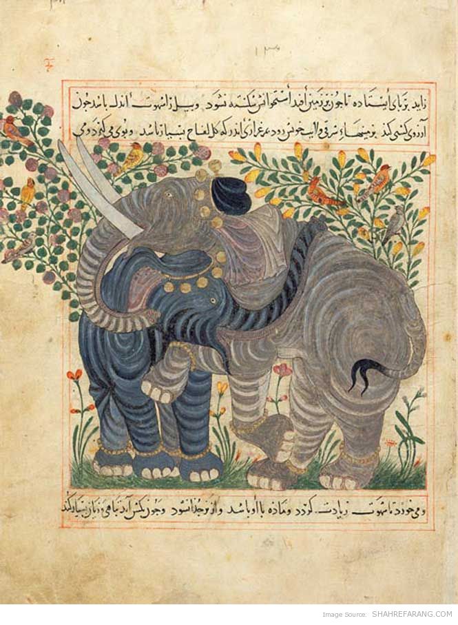 Elephants