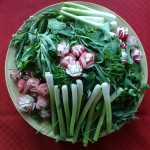 سبزی خوردن (4)