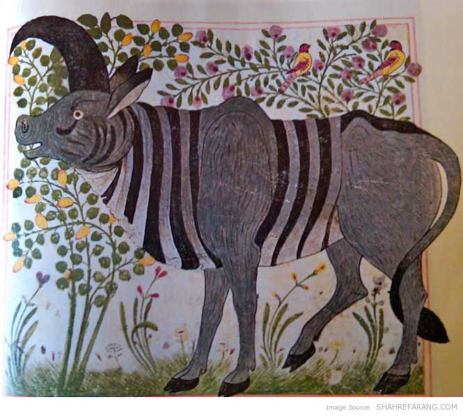 rhinoceros