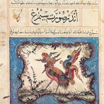 simorgh