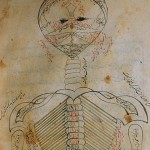 The Anatomy of the Human Body (1488), The skeleton The Anatomy of the Human Body (1488), The skeleton - تشريح بدن انسان (۱۴۸۸ میلادی)، اسکلت