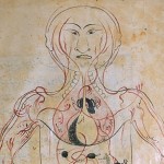 The Anatomy of the Human Body (1488), The venous system The Anatomy of the Human Body (1488), The venous system - تشريح بدن انسان (۱۴۸۸ میلادی)، سیستم سیاهرگی