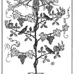Edmund J Sullivan Illustrations to The Rubaiyat of Omar Khayyam (65)