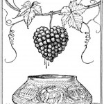Edmund J Sullivan Illustrations to The Rubaiyat of Omar Khayyam (27)