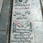 چهره های درگذشتگان  (18)