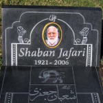 چهره های درگذشتگان  (21)