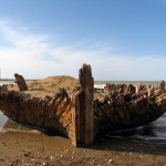 A Shipwreck in Miankaleh - کشتی غرق شده در میانکاله