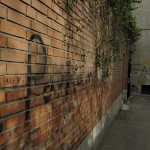 Walking in Tehran’s Amirabad Walking in Tehran’s Amirabad - پرسه در امیرآباد (27)