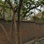 Walking in Tehran’s Amirabad Walking in Tehran’s Amirabad - پرسه در امیرآباد (39)