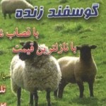 A Business Card of a Sheep-seller Iranian Business Card (15)
