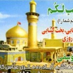 A Business Card of a Traditional Shiite Psychic Iranian Business Card (17)