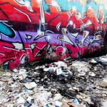 Graffiti on Tehran canal walls (6)