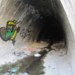 Graffiti on Tehran canal walls (12)