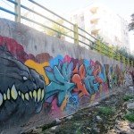Graffiti on Tehran canal walls (17)