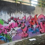 Graffiti on the canal walls in northwestern Tehran. October 2012. Graffiti on Tehran canal walls (40)