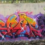 Graffiti on the canal walls in northwestern Tehran. October 2012. Graffiti on Tehran canal walls (50)