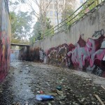 Graffiti on the canal walls in northwestern Tehran. October 2012. Graffiti on Tehran canal walls (59)