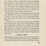 A pocket guide to Iran (1943) (25)