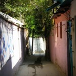 Darakeh, Tehran, June 2012 (21)