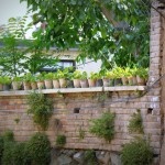 Darakeh, Tehran, June 2012 (34)